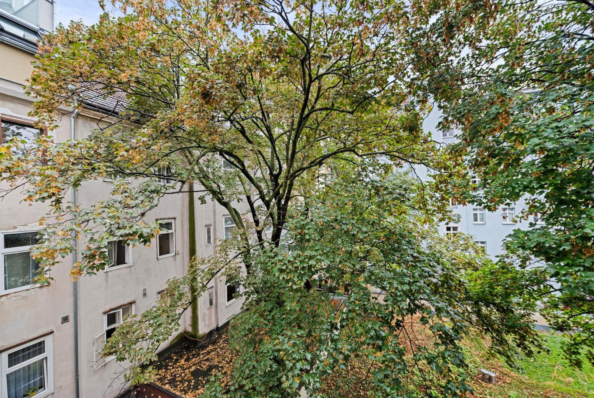 Cozy, Generous City Apartment - 10 Min To City-Centre - Contactless 24H Check-In 维也纳 外观 照片